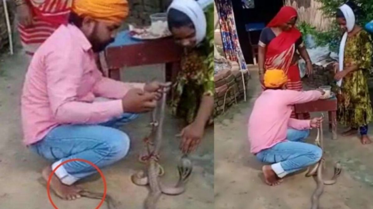 Viral video of snake bite in saran