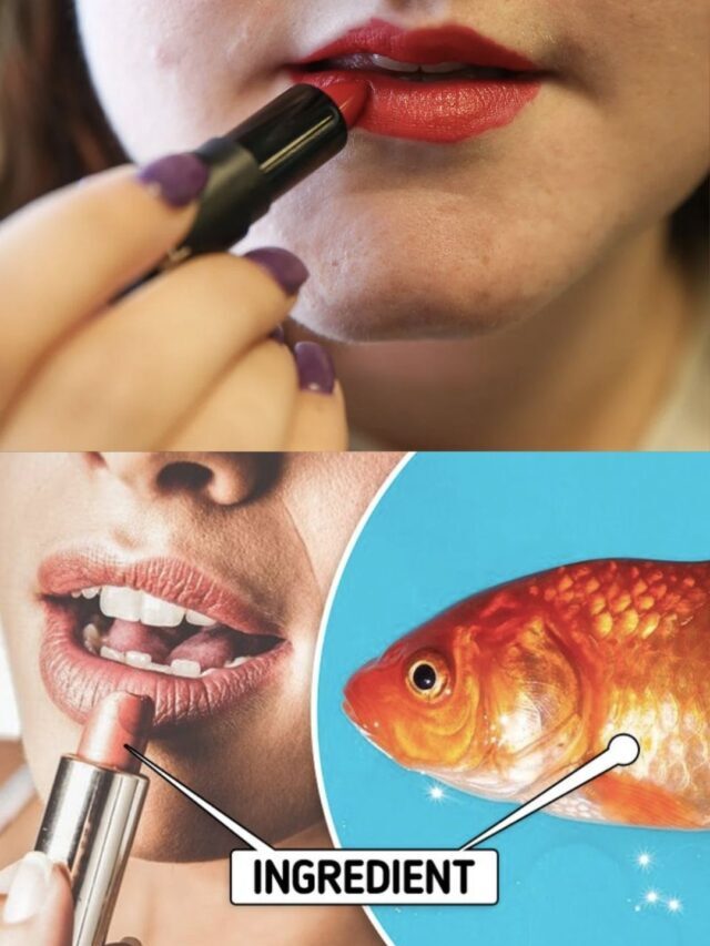 D0 YOU KNOW ?LIPSTICK CONTAINS FISH SCALES?