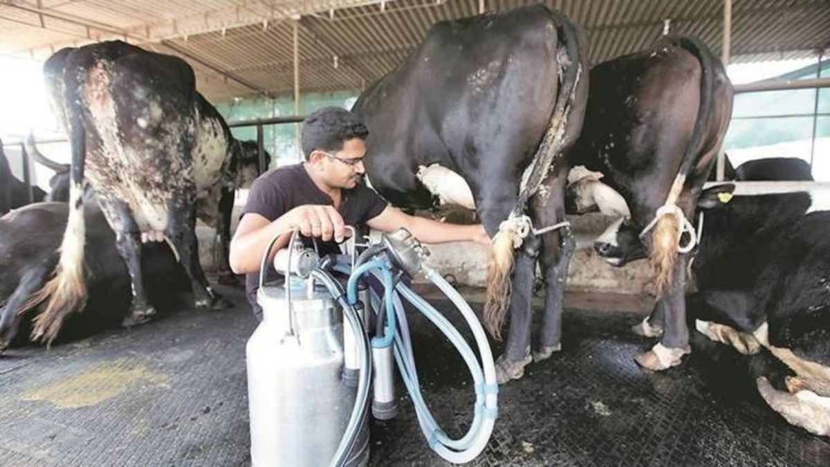 milk industry ki balle balle