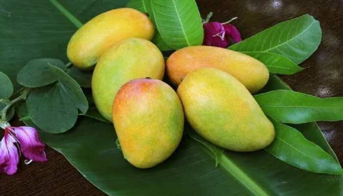 jardalu mango