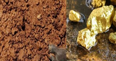 Gold reserves in Bihar