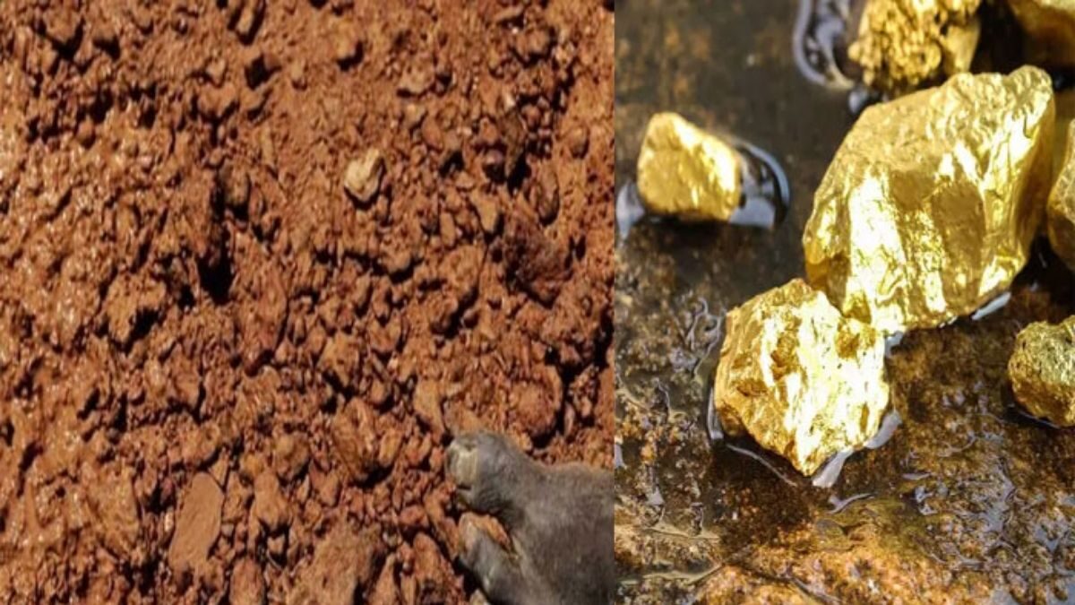 Gold reserves in Bihar