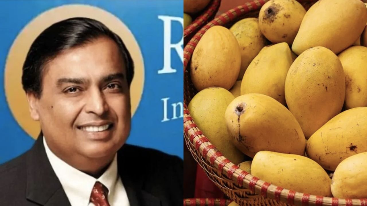 Mukesh Ambani Mango Business