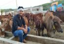 बिहार में बड़ा ऐलान –अब गाय खरीदने पर मिलेगी 75% की छुट, जानें – क्या करना होगा..