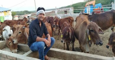 बिहार में बड़ा ऐलान –अब गाय खरीदने पर मिलेगी 75% की छुट, जानें – क्या करना होगा..
