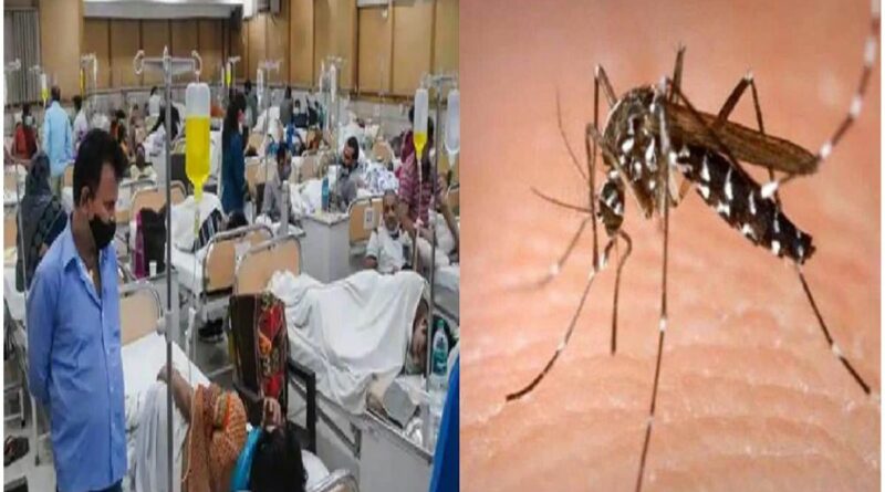 dengue in bihar