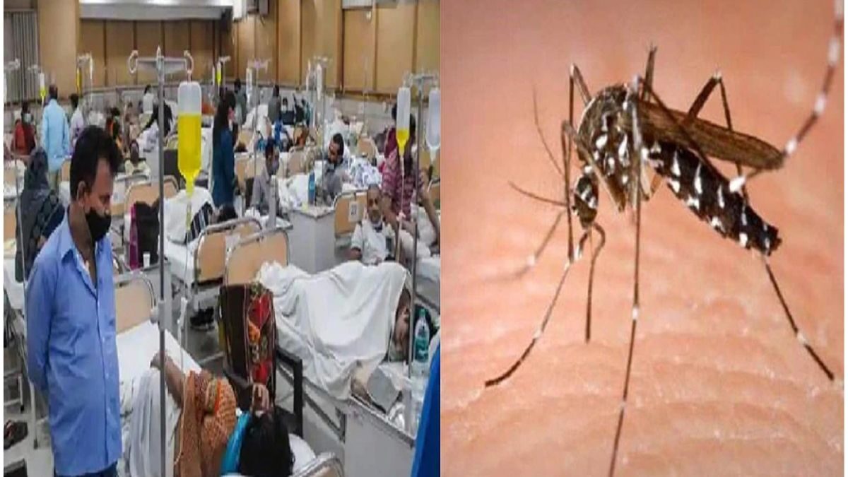 dengue in bihar