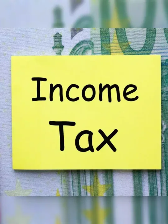 cropped-income-tax8.webp